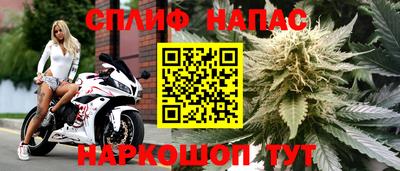 метадон Новозыбков