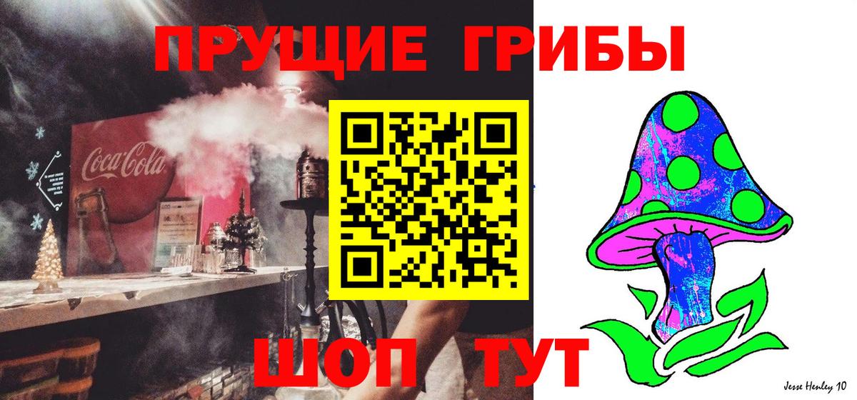 Псилоцибиновые грибы Cubensis Холмск