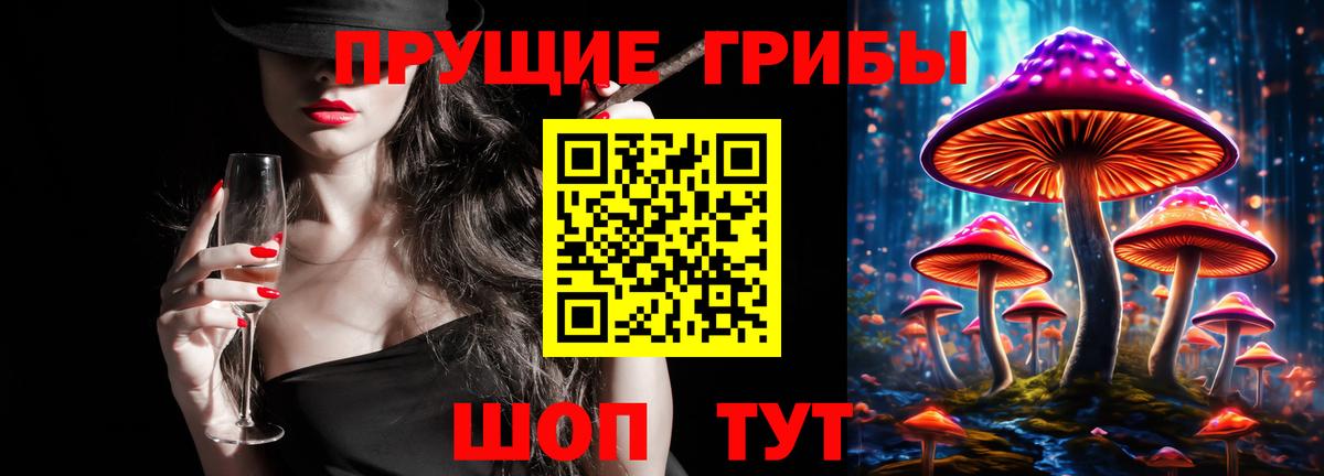 Холмск  Псилоцибиновые грибы Psilocybe  Вход с VPN 